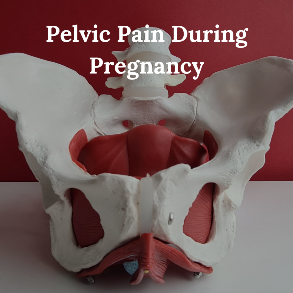 Pelvic Pain During Pregnancy