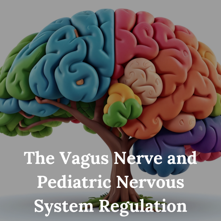 The Vagus Nerve and Pediatric Nervous System Regulation